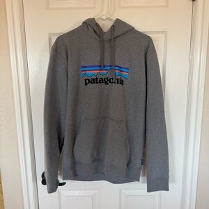 Patagonia Gray Hoodie with Colorful Logo